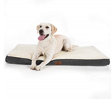 amazon-grand-litbedsure